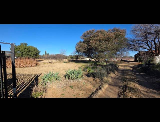 FARM FOR SALE IN BUYSCELIA